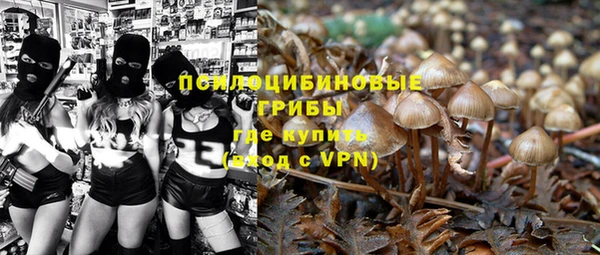 спайс Алексин