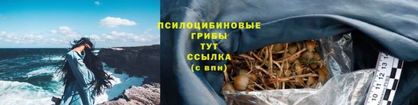 дмт Россошь